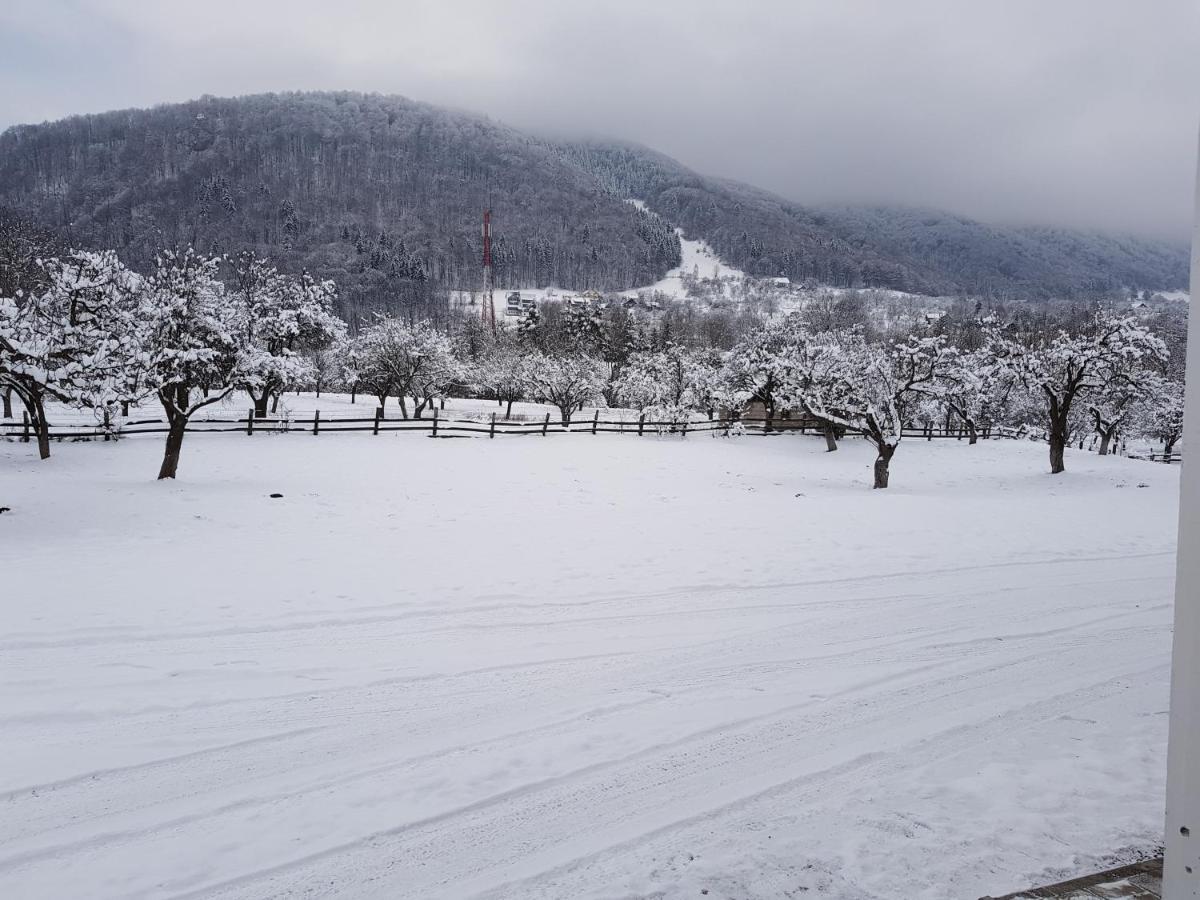 Pensiunea Din Livada 브란 외부 사진